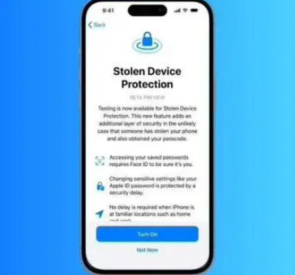 环县苹果授权维修店分享被盗设备保护功能开启方法 