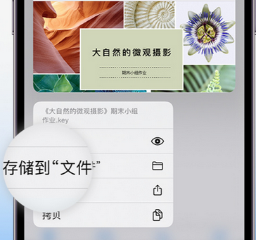 环县apple维修中心分享iPhone文件应用中存储和找到下载文件