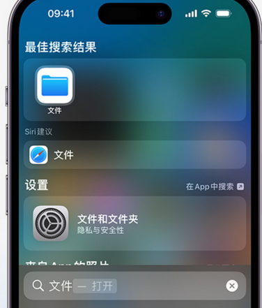 环县apple维修中心分享iPhone文件应用中存储和找到下载文件