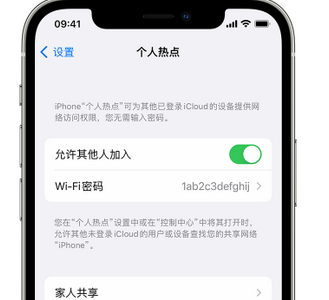 环县apple服务站点分享iPhone上个人热点丢失了怎么办 