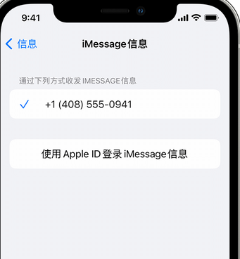 环县apple维修iPhone上无法正常发送iMessage信息 