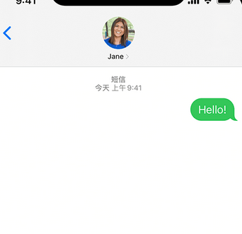 环县apple维修iPhone上无法正常发送iMessage信息