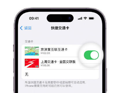 环县apple维修点分享iPhone上更换Apple Pay快捷交通卡手绘卡面 