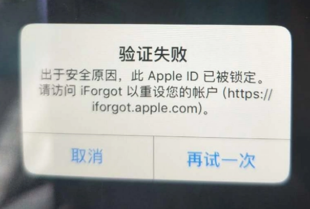 环县iPhone维修分享iPhone上正常登录或使用AppleID怎么办 