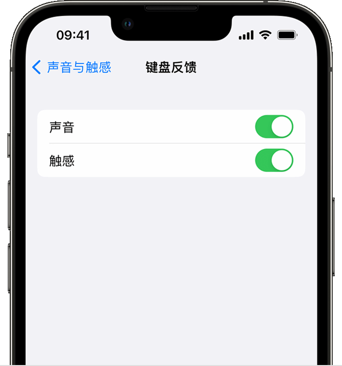 环县苹果14维修店分享如何在 iPhone 14 机型中使用触感键盘 