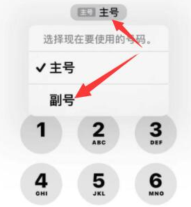 环县苹果14维修店分享iPhone 14 Pro Max使用副卡打电话的方法 