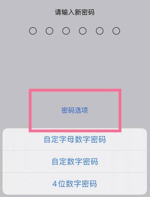 环县苹果14维修分享iPhone 14plus设置密码的方法 