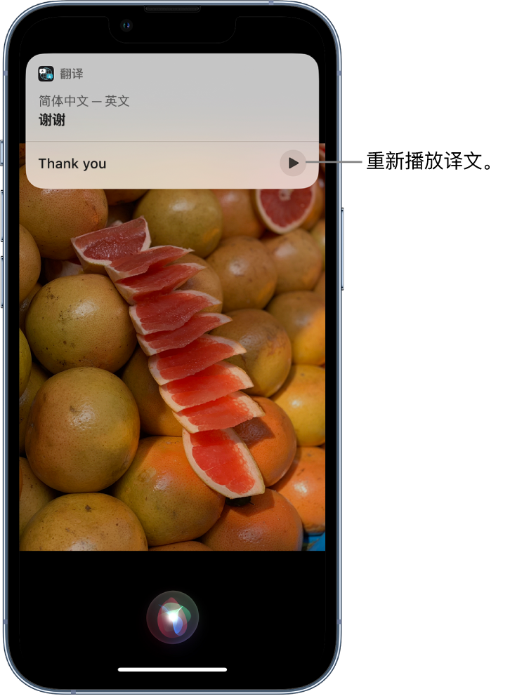 环县苹果14维修分享 iPhone 14 机型中使用 Siri：了解 Siri 能帮你做什么 