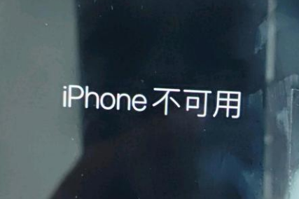 环县苹果服务网点分享锁屏界面显示“iPhone 不可用”如何解决 