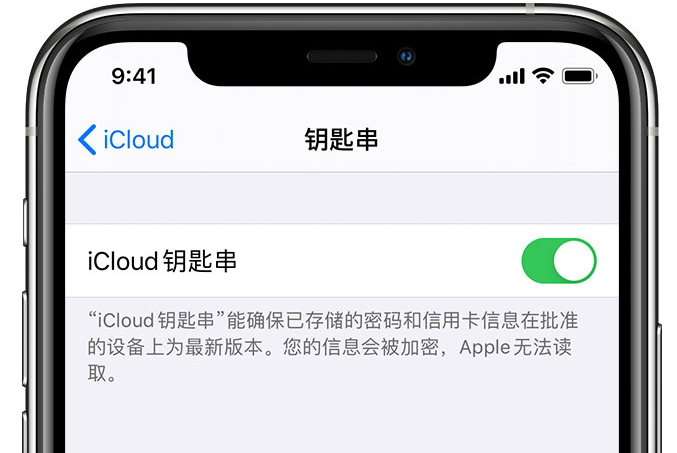 环县苹果手机维修分享在 iPhone 上开启 iCloud 钥匙串之后会储存哪些信息 