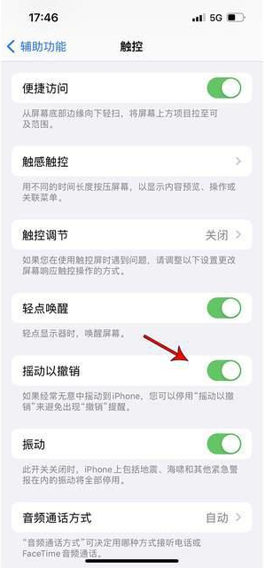 环县苹果手机维修分享iPhone手机如何设置摇一摇删除文字 