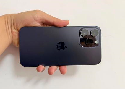 环县苹果维修点分享iPhone 14 Pro Max黑屏少见故障盘点 